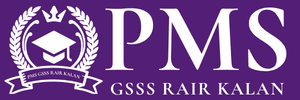 Pms Gsss Rair Kalan logo
